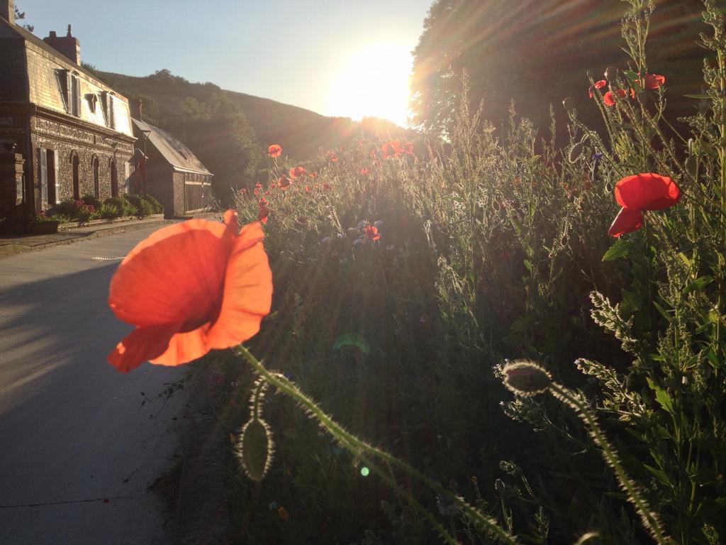 La Flore De Lys, Cottage Ideal Pour 2 Adultes Et 2 Enfants Saint-Jouin-Bruneval Номер фото