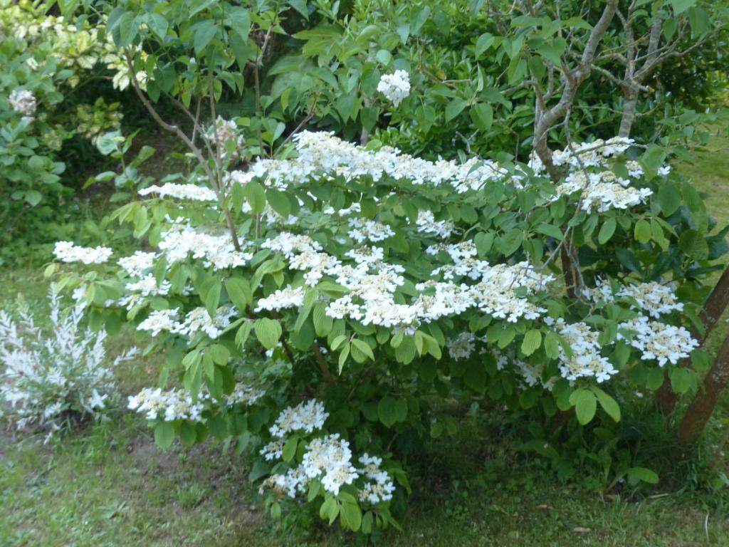 La Flore De Lys, Cottage Ideal Pour 2 Adultes Et 2 Enfants Saint-Jouin-Bruneval Номер фото